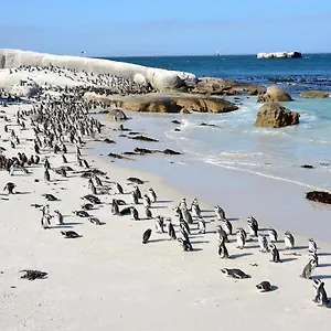  Apartment Admiral's Waterfall Self-catering South Africa